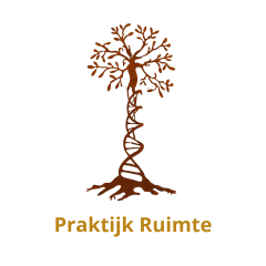 Praktijk Ruimte Therapie, opstellingen en opleidingen